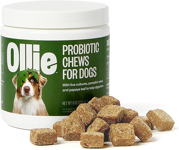 ollie dog food