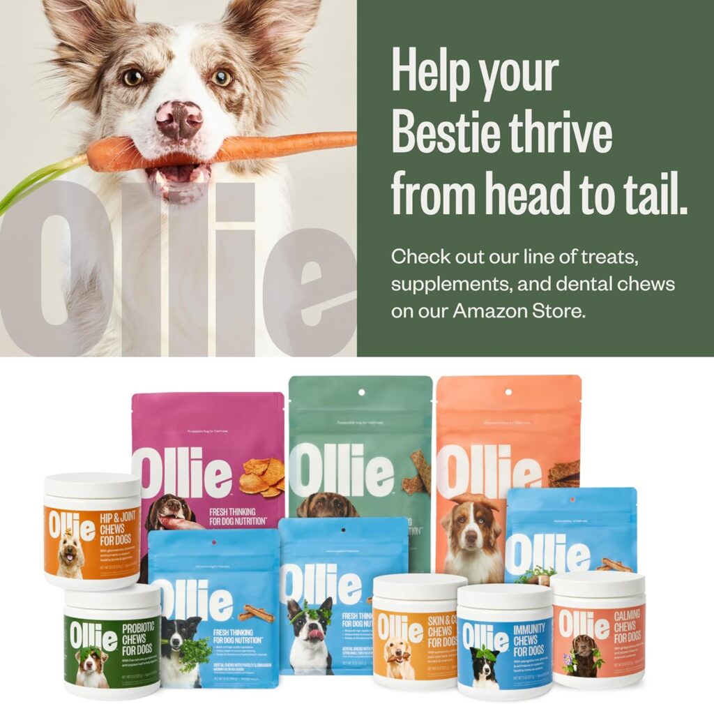 ollie dog food