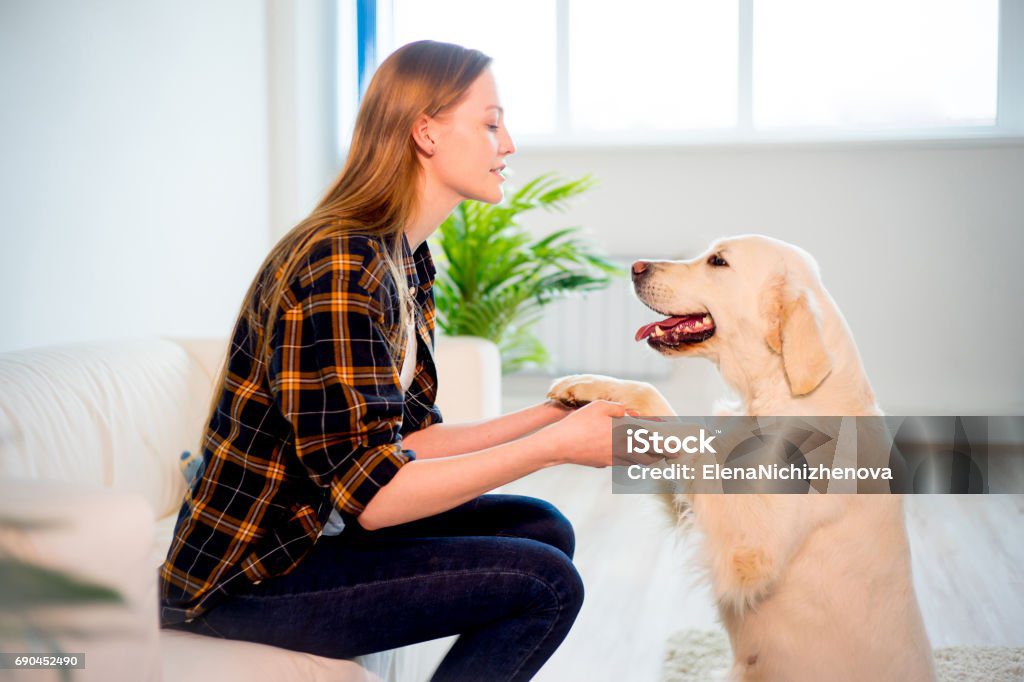 happy dog