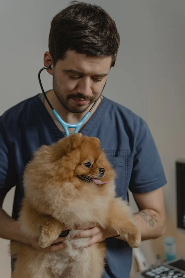 healthy pets
