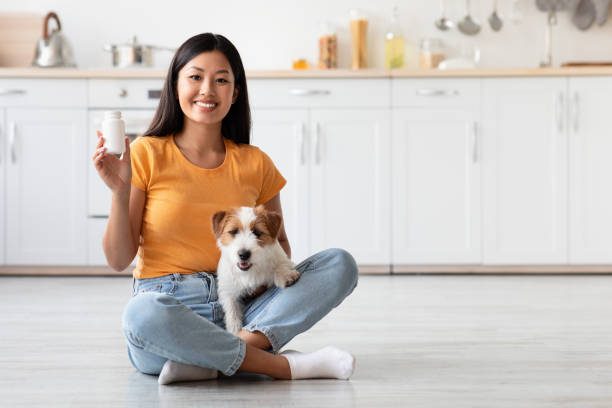 pet safe feed