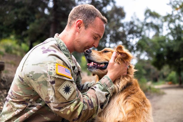 army dog adoptation