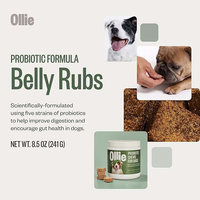 ollie food
