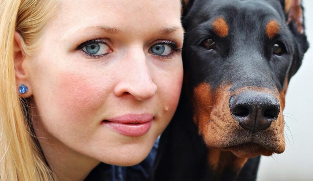 Doberman Pinscher