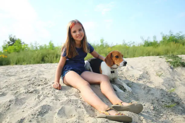 Beagle: Energetic and Good with Kids