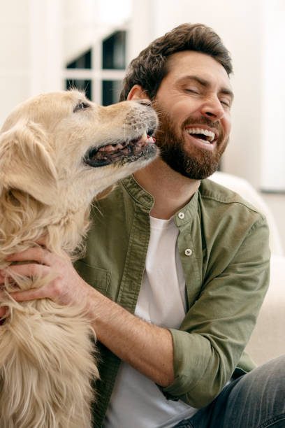 dog body language